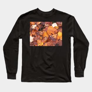 Colourful red and orange autumn leaves Long Sleeve T-Shirt